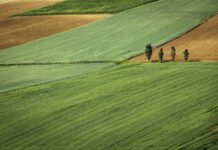 Kredyt na zakup działki budowlanej – jaki wybrać? działka, grunt