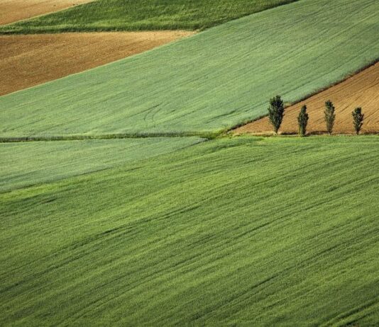 Kredyt na zakup działki budowlanej – jaki wybrać? działka, grunt